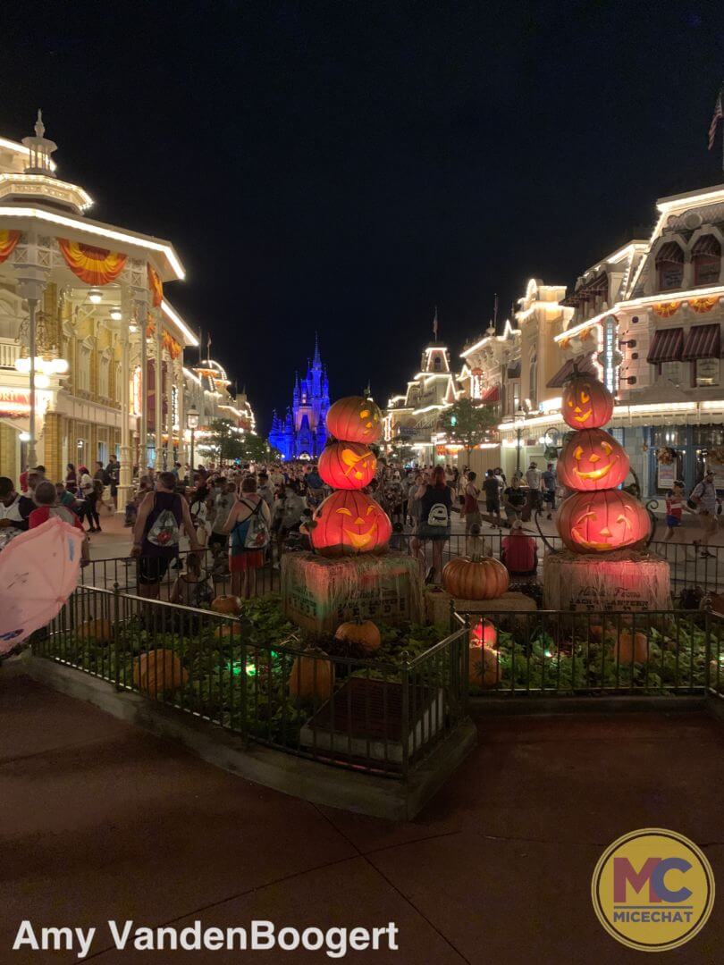 , A Surprising Saturday Visit to the Magic Kingdom