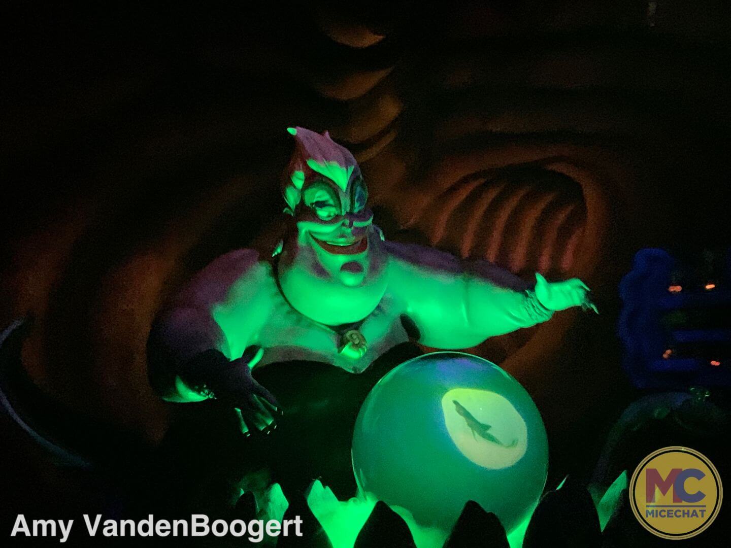 , A Surprising Saturday Visit to the Magic Kingdom