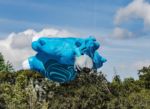 Baloo kite