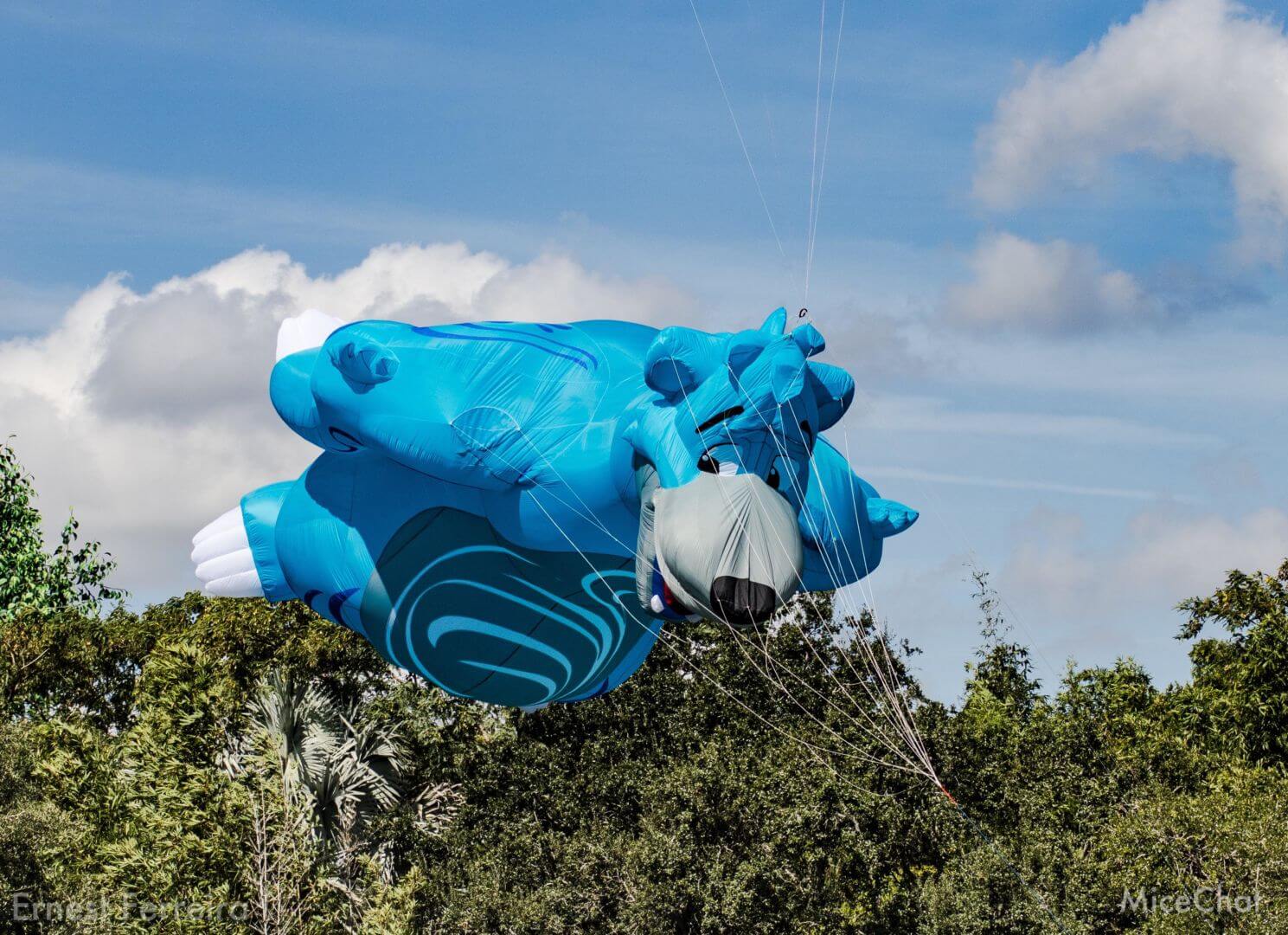 , NEW SHOW: Disney KiteTails Takes Flight at Animal Kingdom