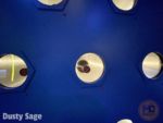 Space 220 Wine Wall Closeup