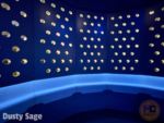 Space 220 Wine Wall