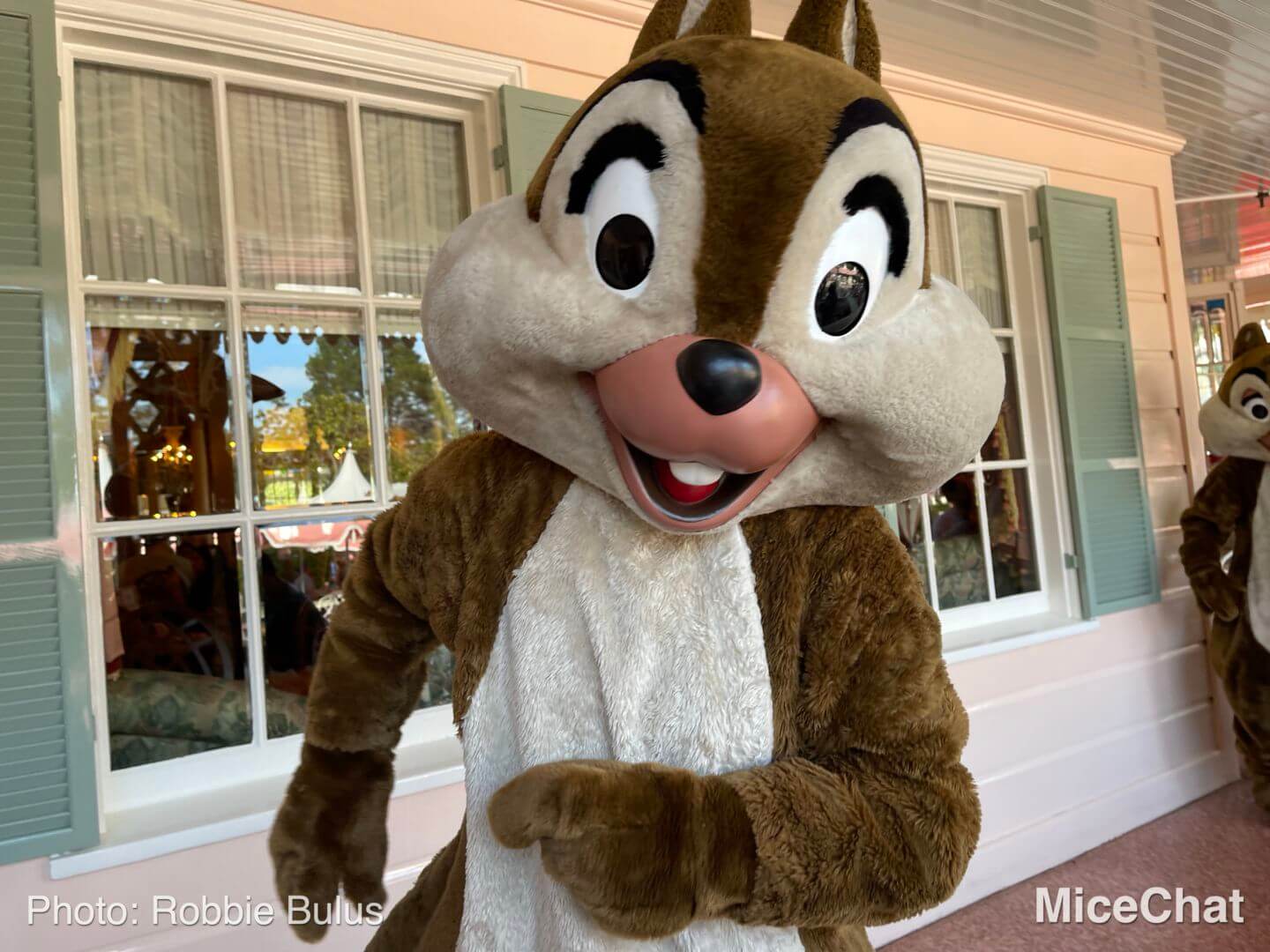 , Disneyland Update: Holiday Humbugs & Hopeful Happenings