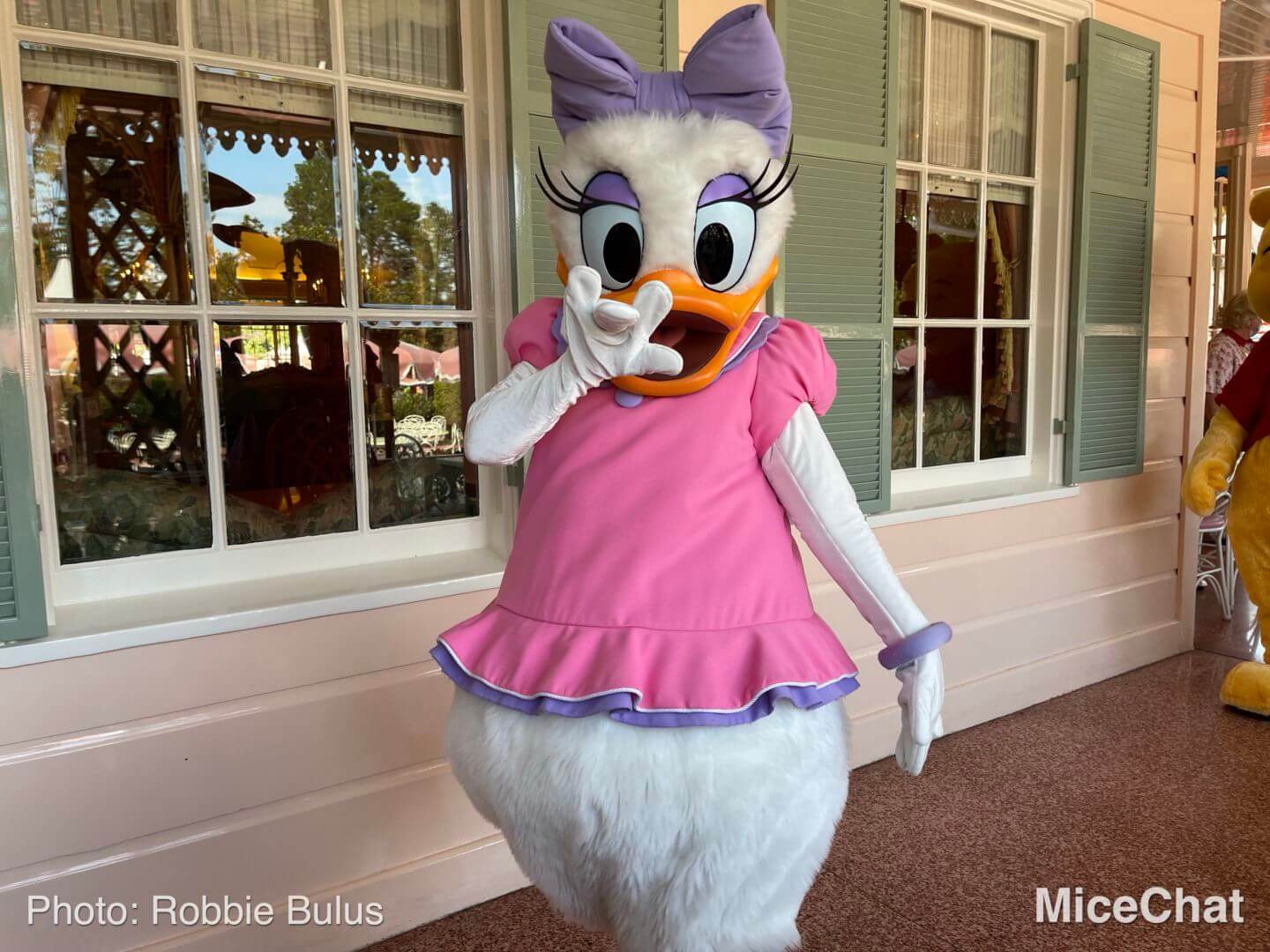 , Disneyland Update: Holiday Humbugs & Hopeful Happenings
