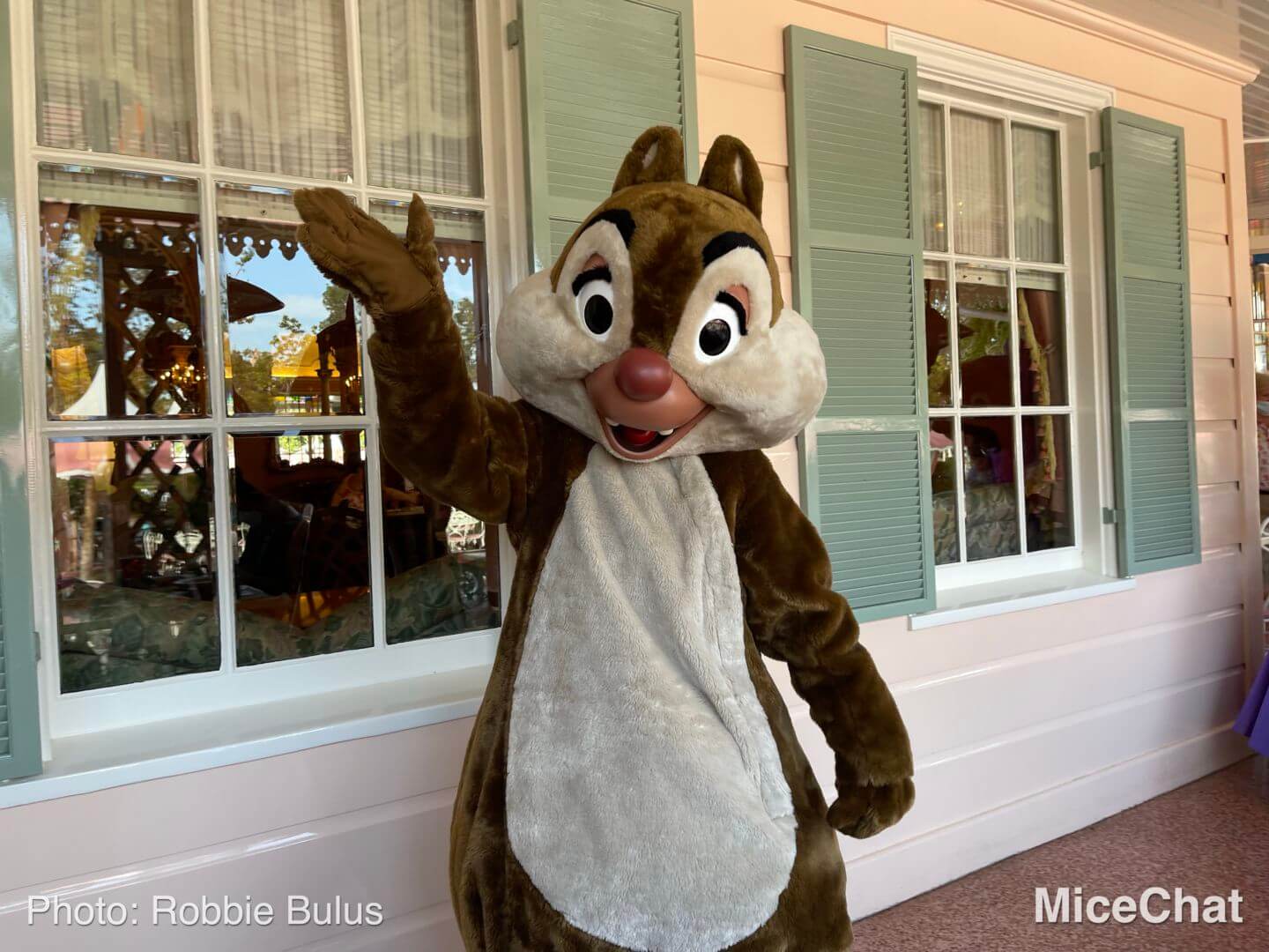 , Disneyland Update: Holiday Humbugs & Hopeful Happenings