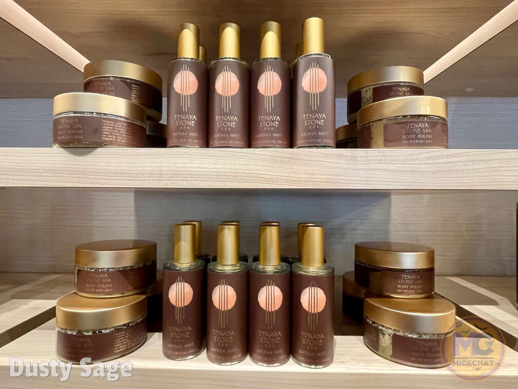 , FIRST LOOK: Disney Grand Californian Imagineering-designed Tenaya Stone Spa