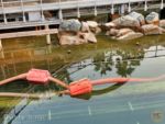 Disney California Adventure Paradise Bay Draining 5-micechat