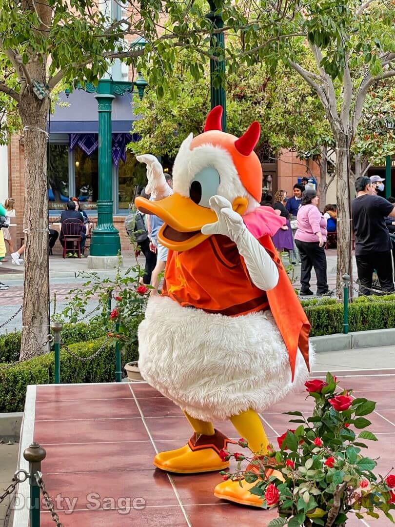 , Disneyland Update – Reservations About Reservations As Parks Fill Up