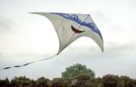 ‘Disney KiteTails’ at Disney’s Animal Kingdom Theme Park