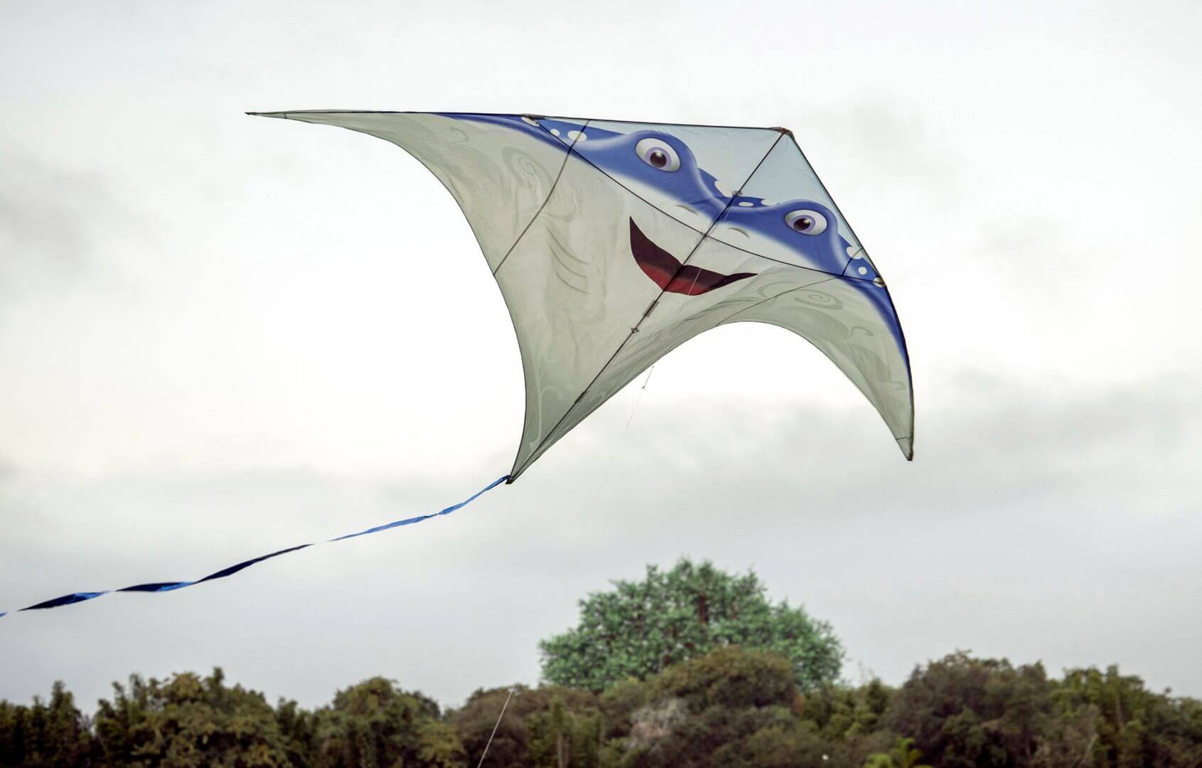 , NEW SHOW: Disney KiteTails Takes Flight at Animal Kingdom