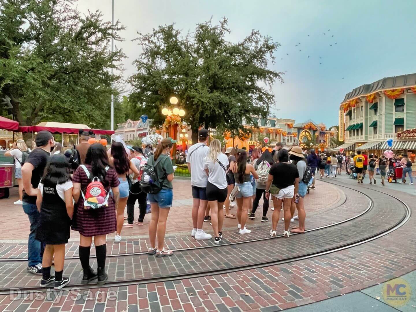 , Disneyland Update – Reservations About Reservations As Parks Fill Up