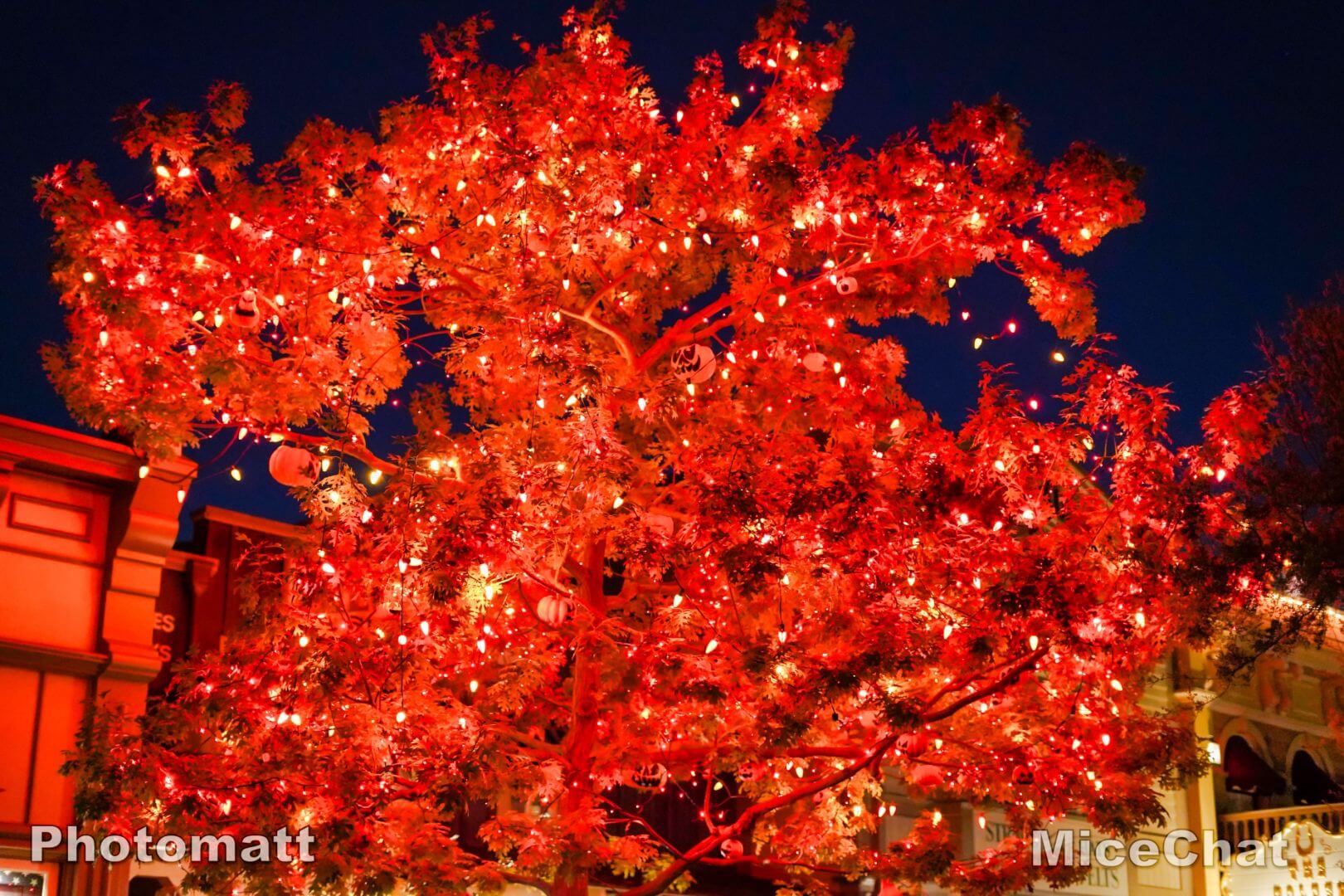 , Disneyland Update: Holiday Humbugs & Hopeful Happenings