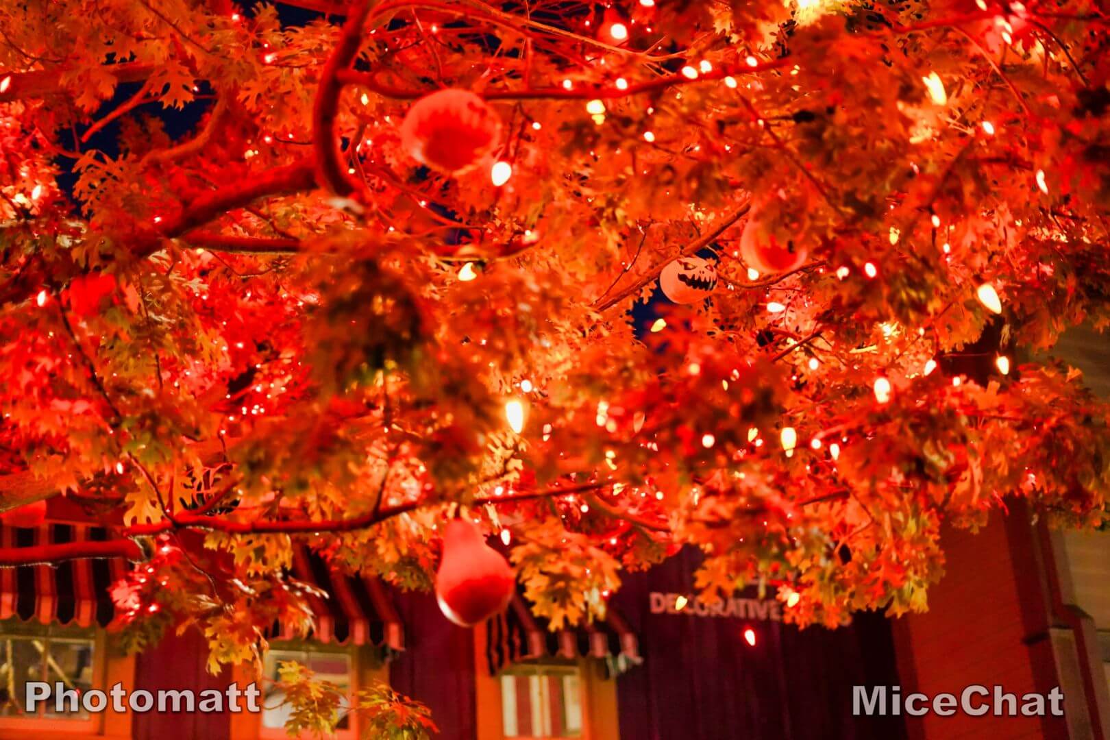 , Disneyland Update: Holiday Humbugs & Hopeful Happenings