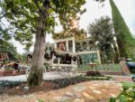 Disneyland Haunted Mansion Front-micechat