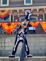Disneyland Main Street Goofy-micechat