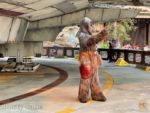 Disneyland Millennium Falcon Chewy 2-micechat