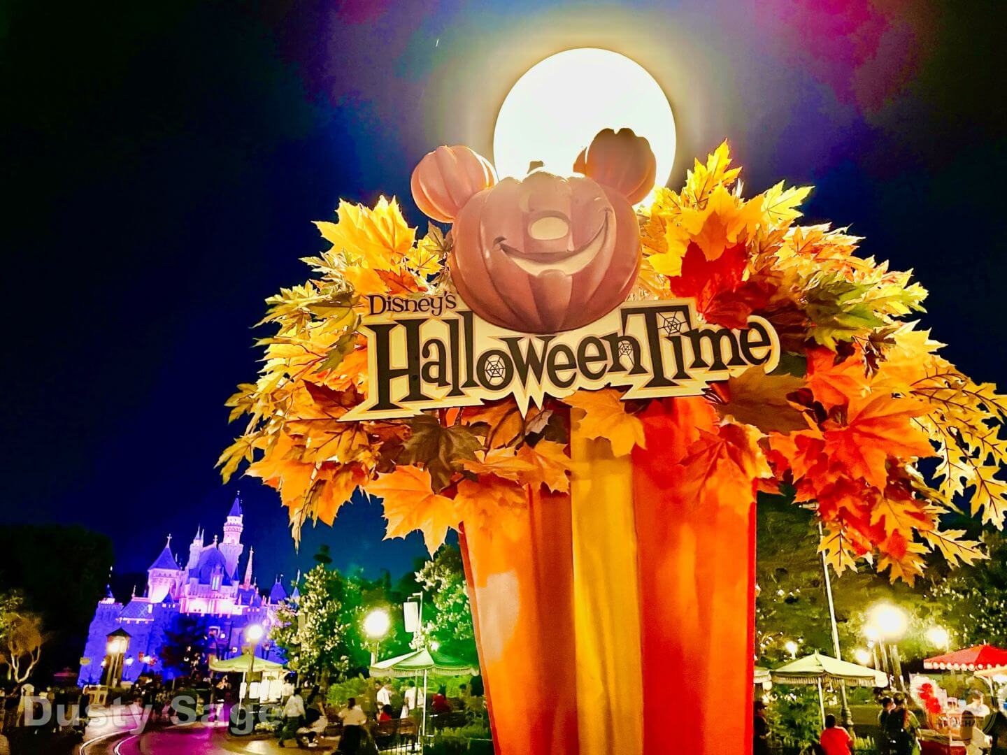 , Disneyland Update – Reservations About Reservations As Parks Fill Up
