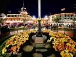Disneyland Night Pretty-micechat