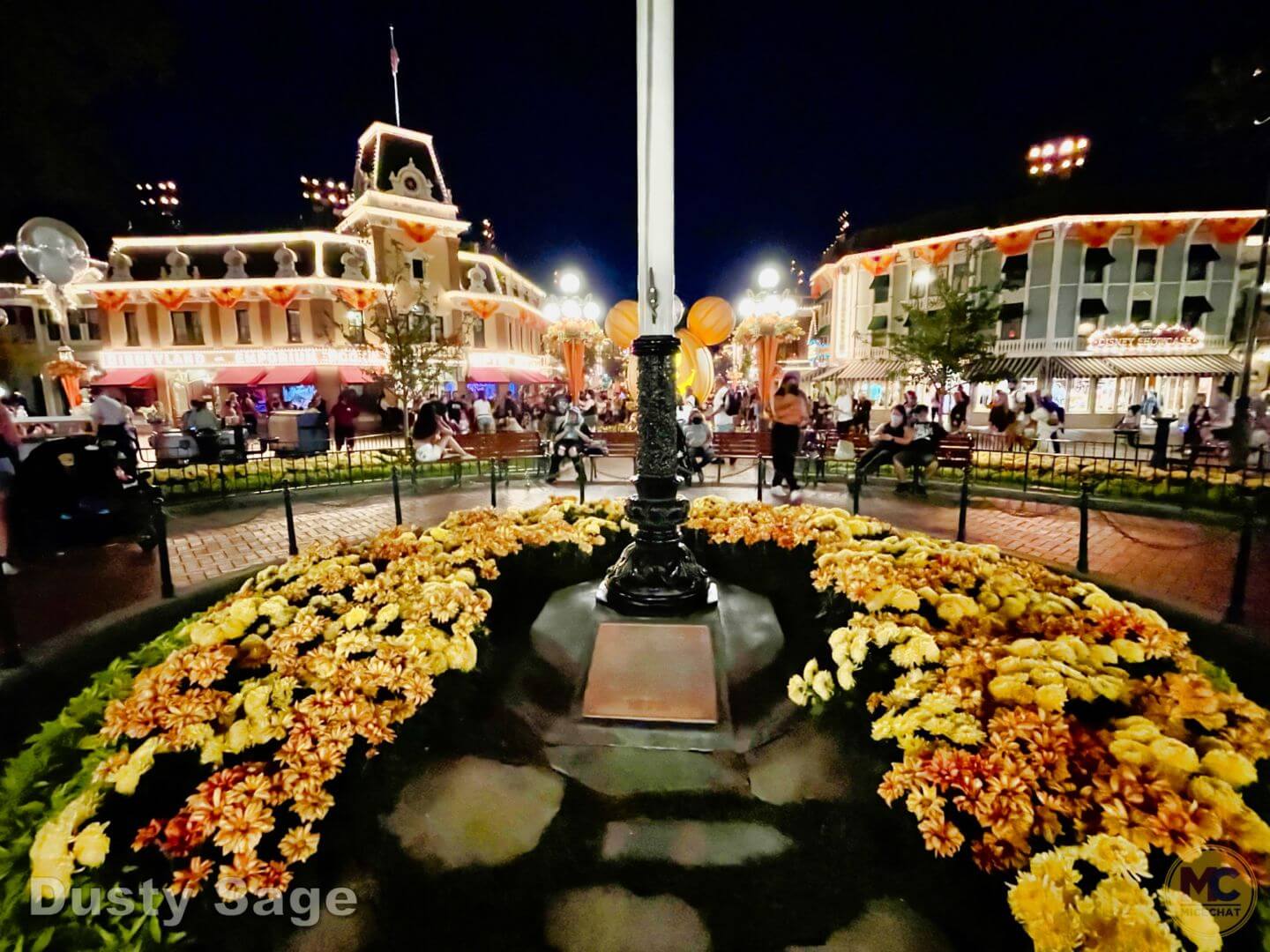 , Disneyland Update – Reservations About Reservations As Parks Fill Up