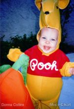 Disneyland Pooh Corner Critter Country Peanut Butter Chocolate Square MiceChat costume