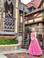 Disneyland Princess Fantasy Faire Maleficent aurara-micechat
