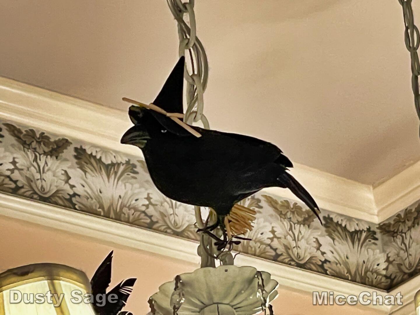 , Disneyland Update – Achievement Unlocked & Preparing for the Future