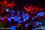 Disneyland_Haunted Mansion_Holiday_Cemetary