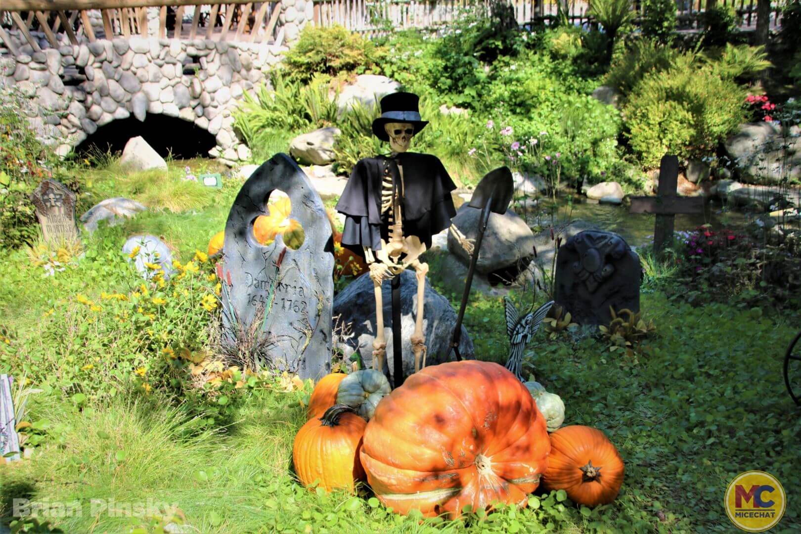 , Knott’s Berry Farm Update: Spooky, Scary, and Snowy Surprises