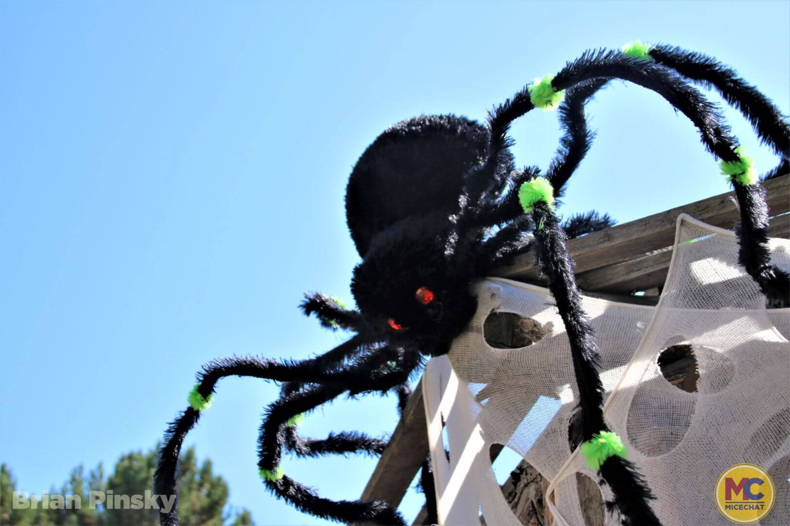 , Knott’s Berry Farm Update: Spooky, Scary, and Snowy Surprises