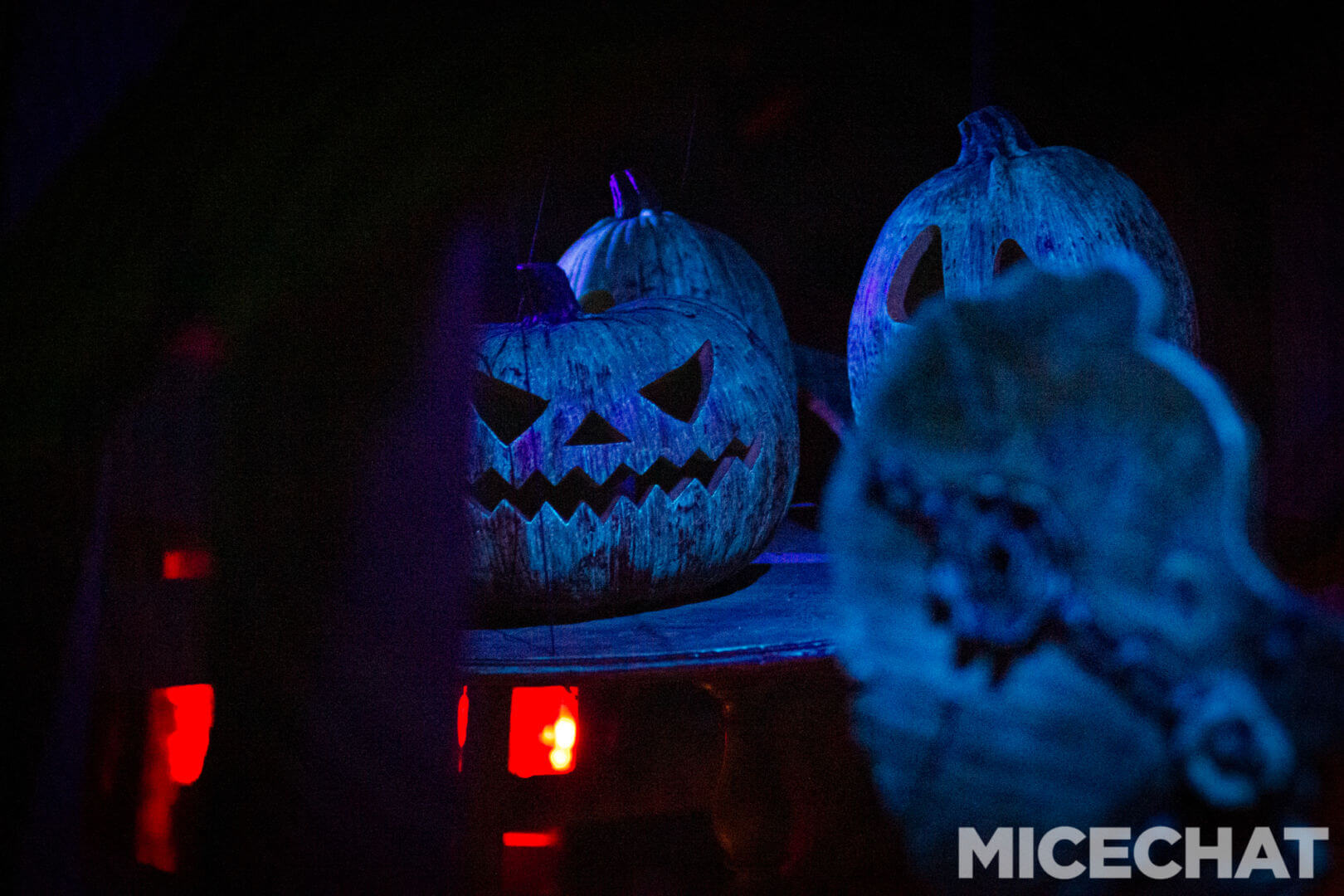 , The Fog Awaits: Your Guide to Knott’s Scary Farm Halloween Haunt 2022!