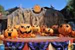 Knotts_Spooky Farm_Calico Square Stage_Pumpkins