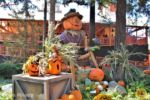 Knotts_Spooky Farm_Camp Snoopy_Pumpkin Scare Crow