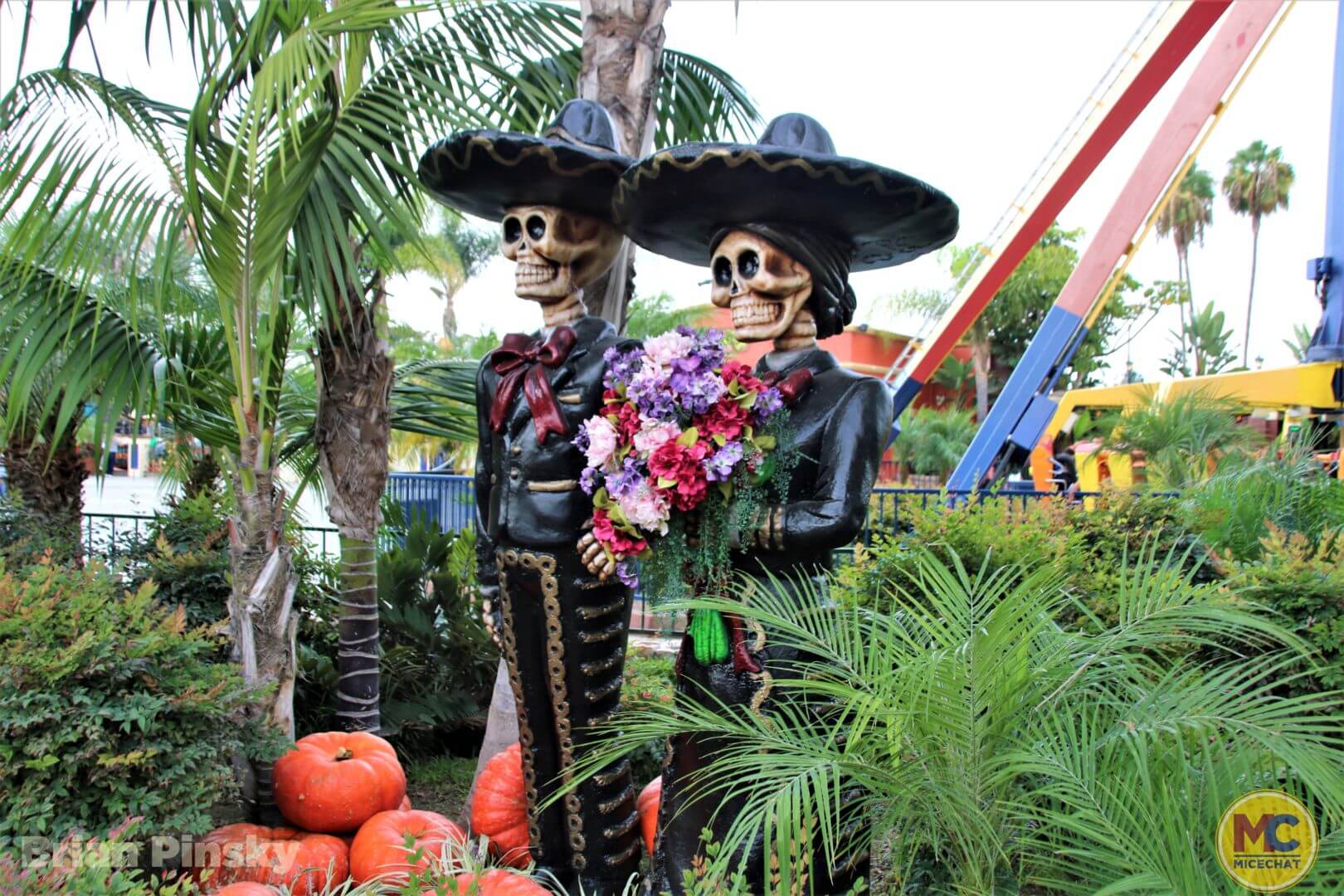 , Knott’s Berry Farm Update: Spooky, Scary, and Snowy Surprises