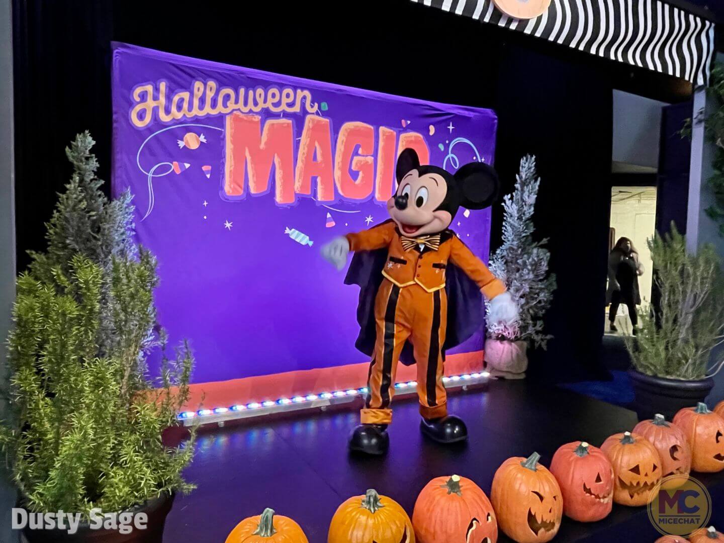 , Disneyland Update – Electric Entertainment, Magic Key Blues & Rumors Too
