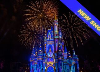NEW Disney Enchantment Fireworks Light Up the Sky at Magic Kingdom