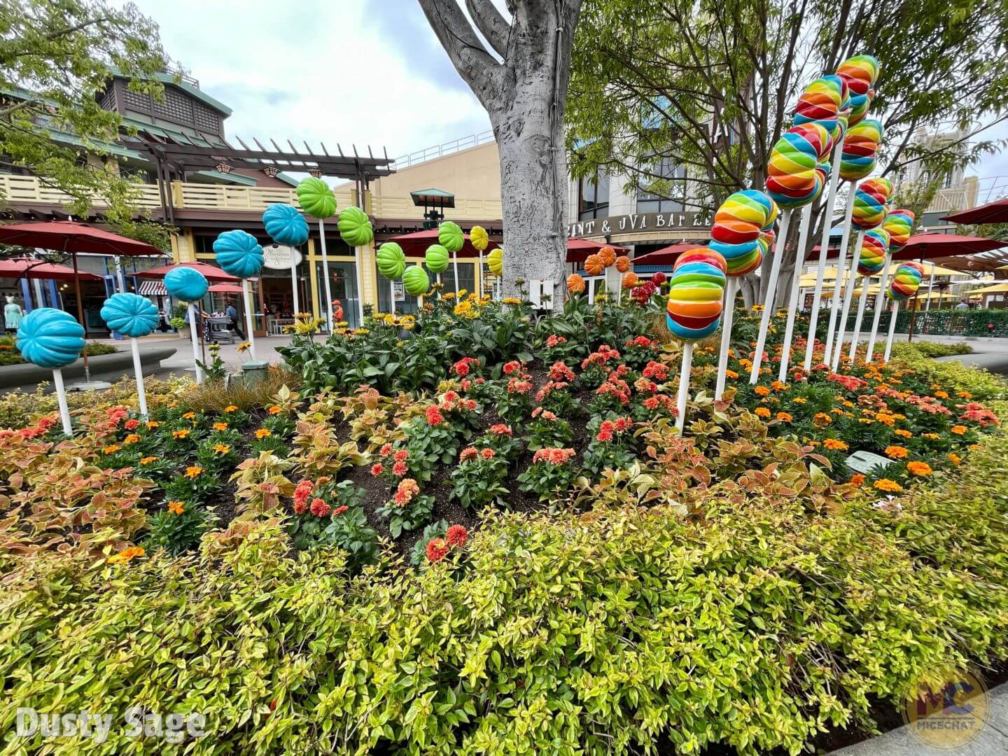 , Disneyland Update – Crowd Flux, Holidays Collide & Blues Too!