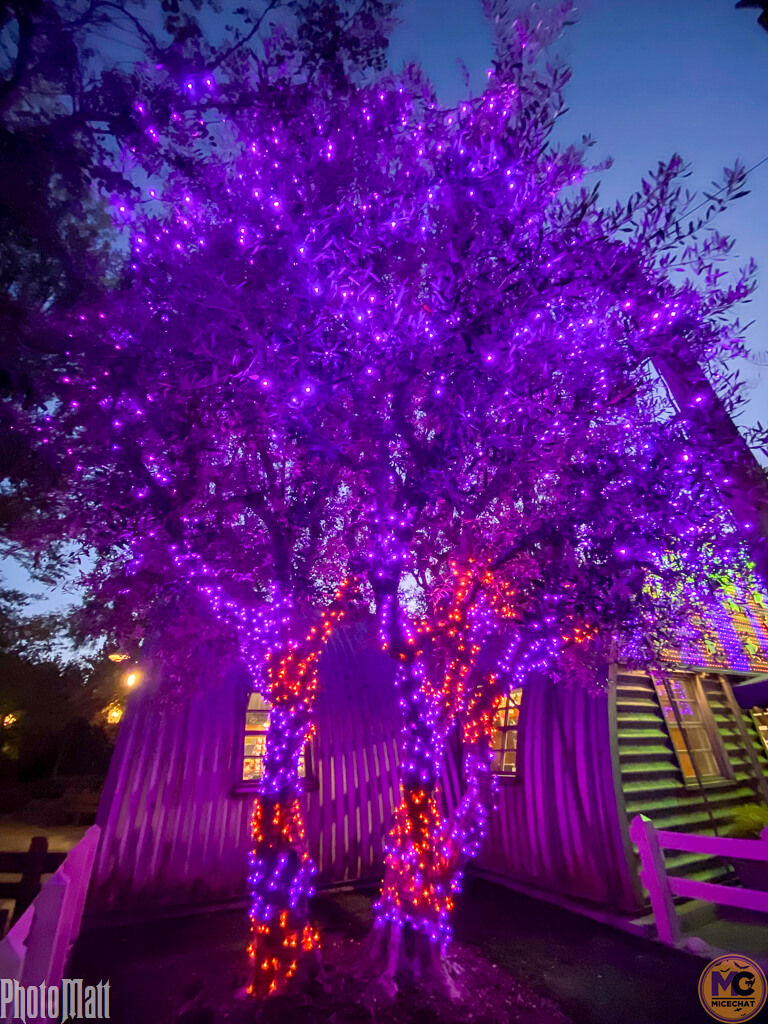 Halloween Time, Disneyland Resort Update Part 2: Conjuring a Treat!