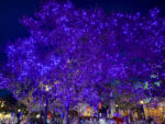 MiceChat – Disneyland – Halloween Time – -188