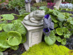 MiceChat – Disneyland – Halloween Time – Exterior – Pet Cemetery – Frog
