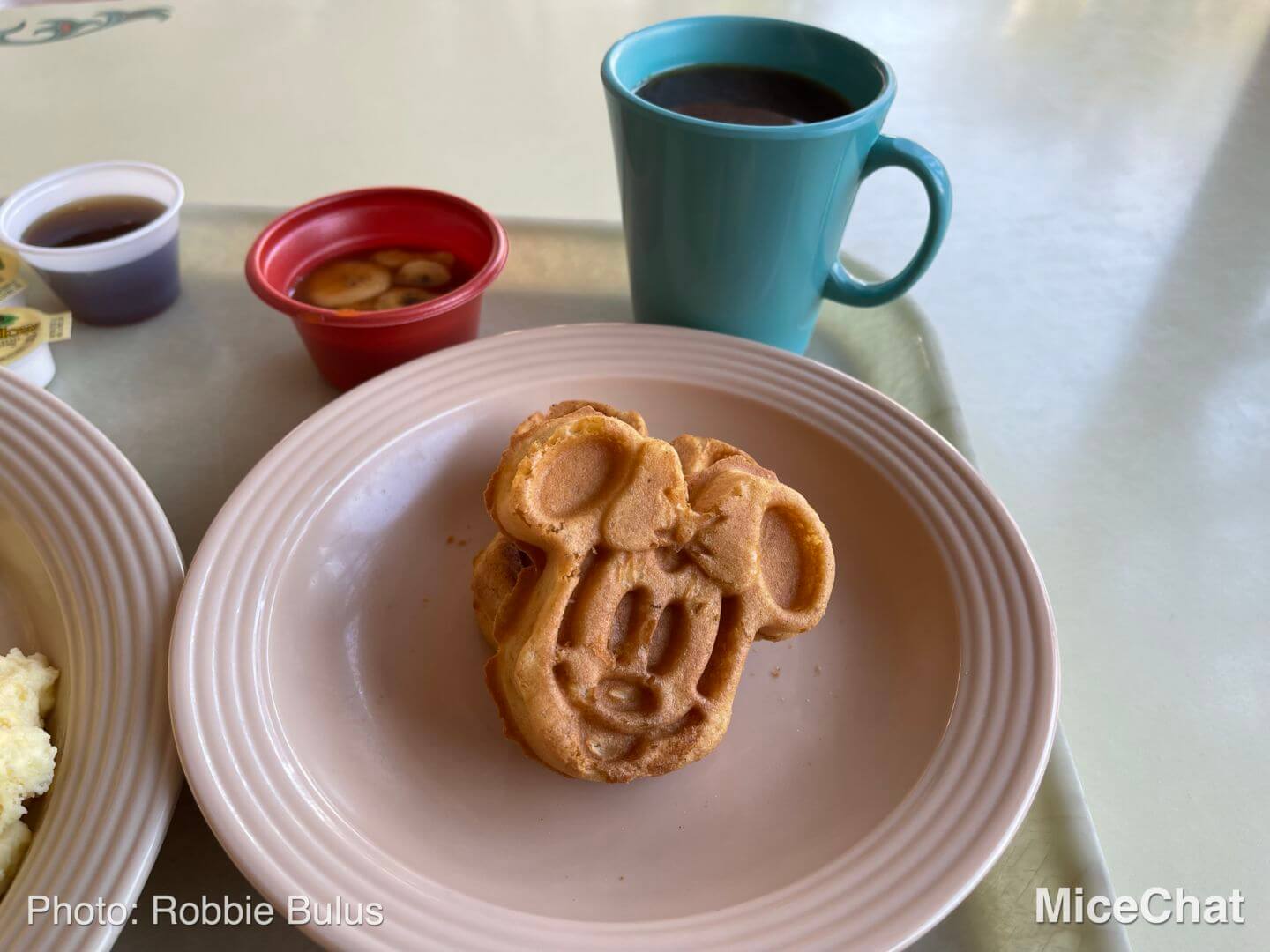 , Disneyland Update: Holiday Humbugs & Hopeful Happenings