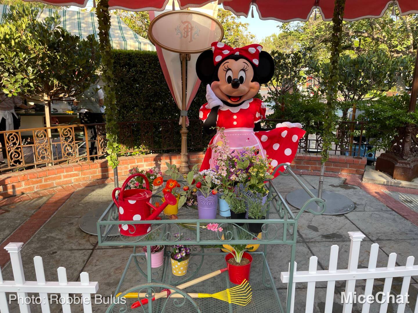 , Disneyland Update: Holiday Humbugs & Hopeful Happenings