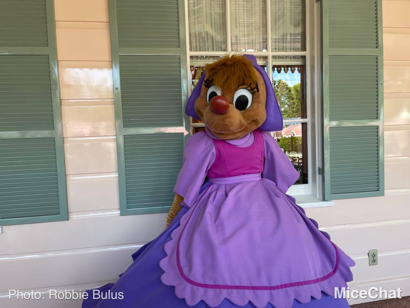 , Disneyland Update: Holiday Humbugs & Hopeful Happenings