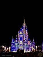 Photo_10WDW 50th Magic Kingdom Disney Enchantment