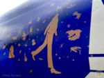 Photo_10WDW Disney World Southwest 50th Plane