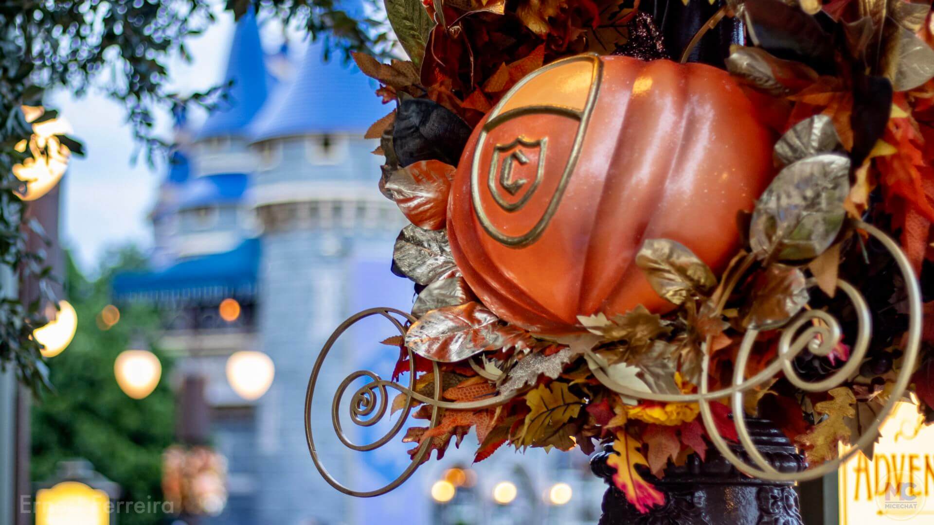 , Walt Disney World Update: Cool Returns, Golden Friends & Rapid Change
