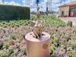 Photo_1EPCOT_50th_Gold_Statues