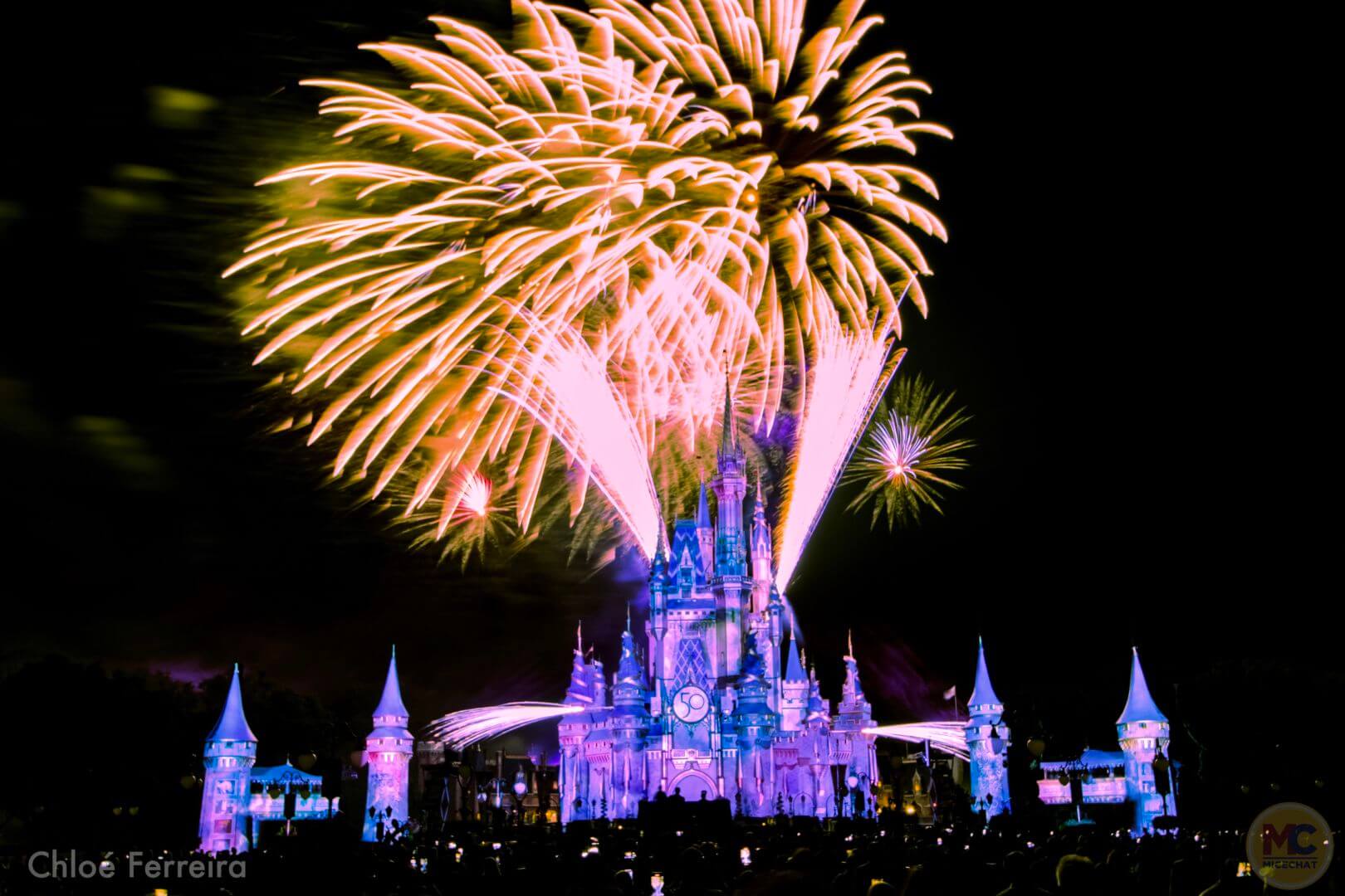 , NEW Disney Enchantment Fireworks Light Up the Sky at Magic Kingdom