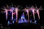 Photo_3WDW 50th Magic Kingdom Disney Enchantment