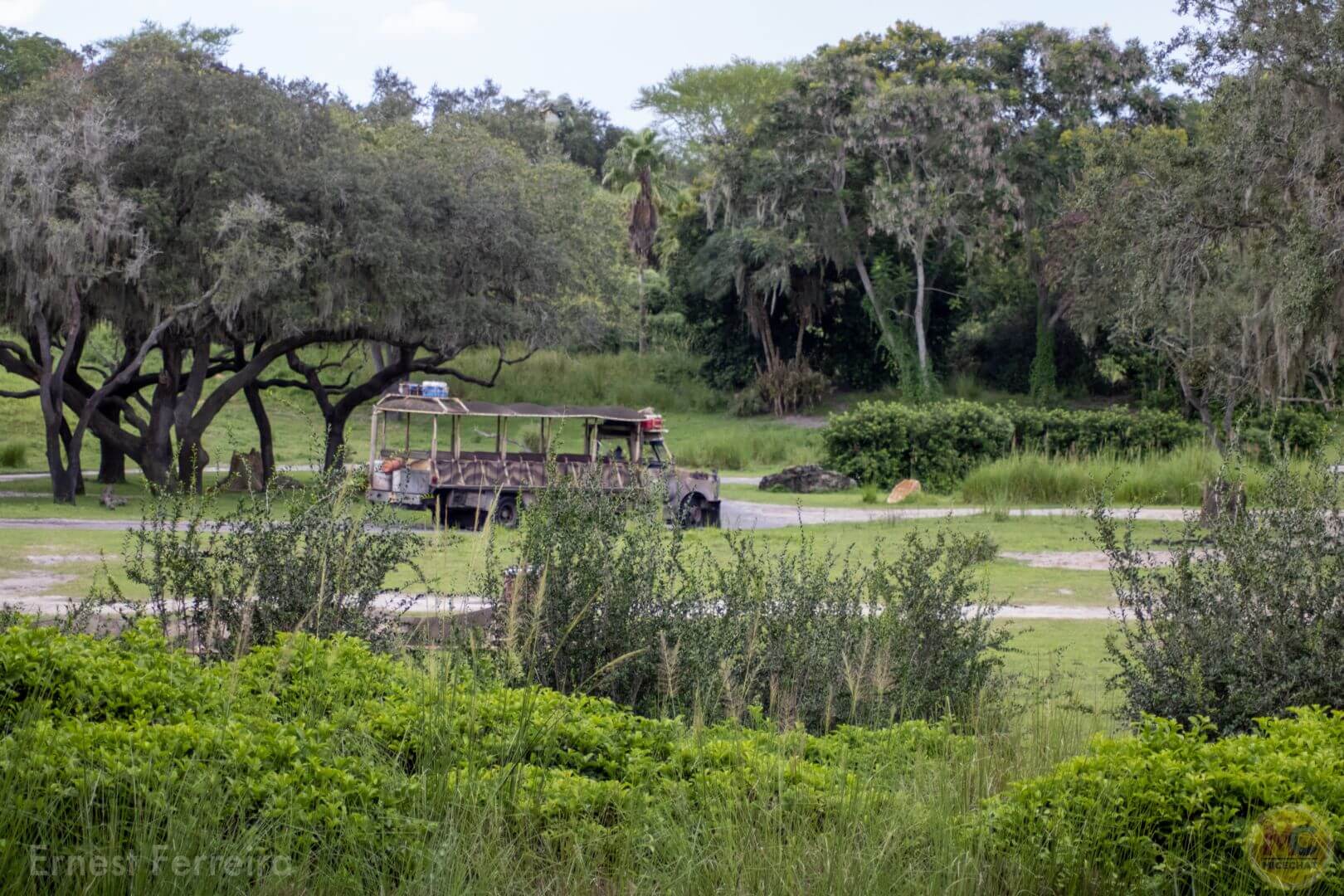 Disney's Animal Kingdom, 25 Animals for the 25th Anniversary of Disney’s Animal Kingdom!
