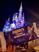 Photo_4WDW 50th Magic Kingdom Disney Enchantment 2